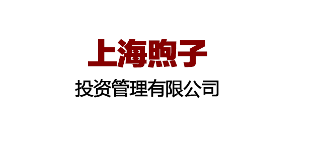 上海煦子投资管理有限公司